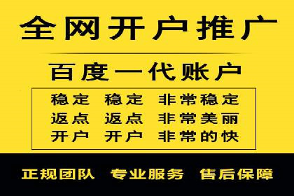 案例解析：SEM投放助力电商增长